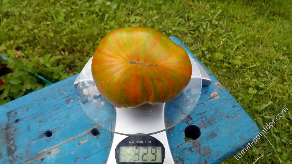 Лето любви 05.08.