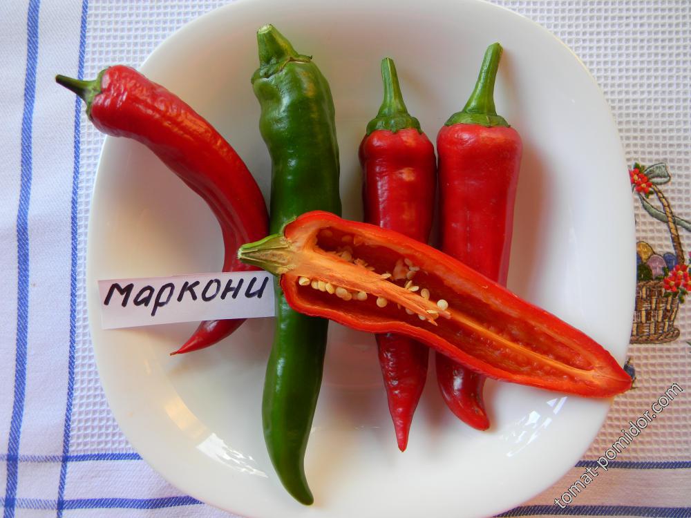 Маркони