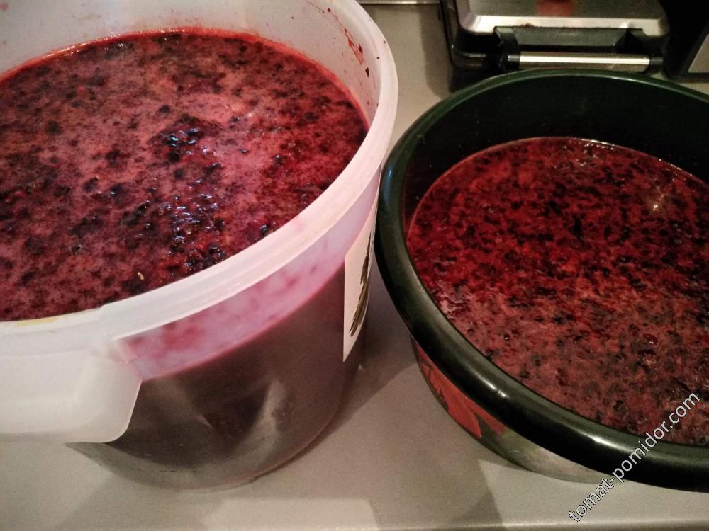 мезга смородины с сахаром