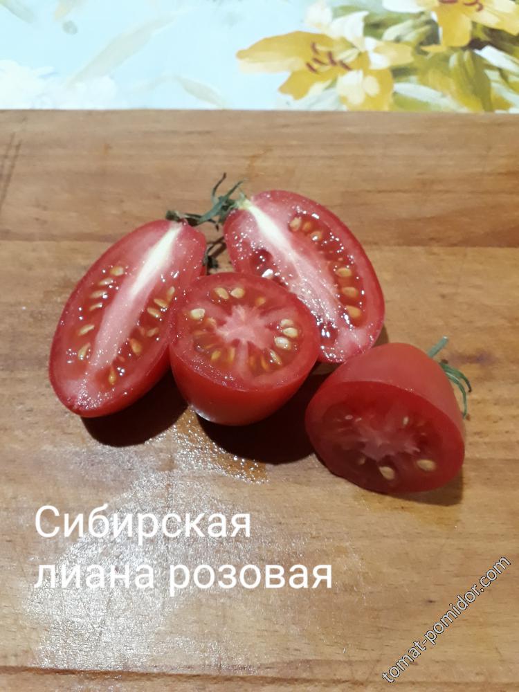 Сибирская лиана розовая, скорее какой то пересорт