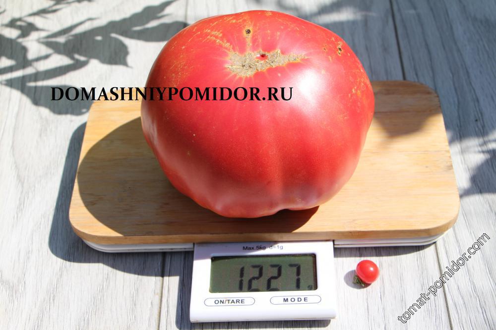 Яблочный Малиновый