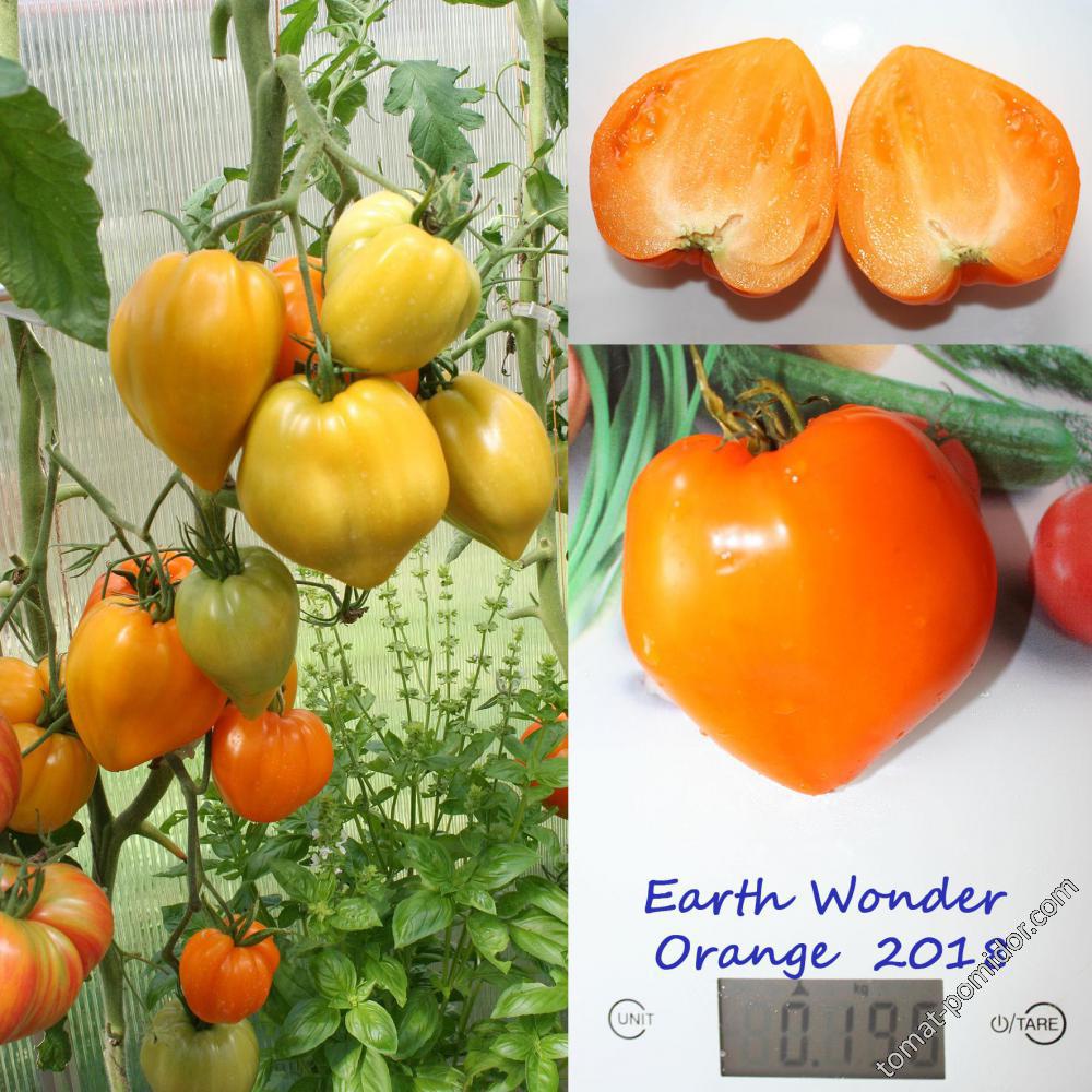 Еarth Wonder Orange