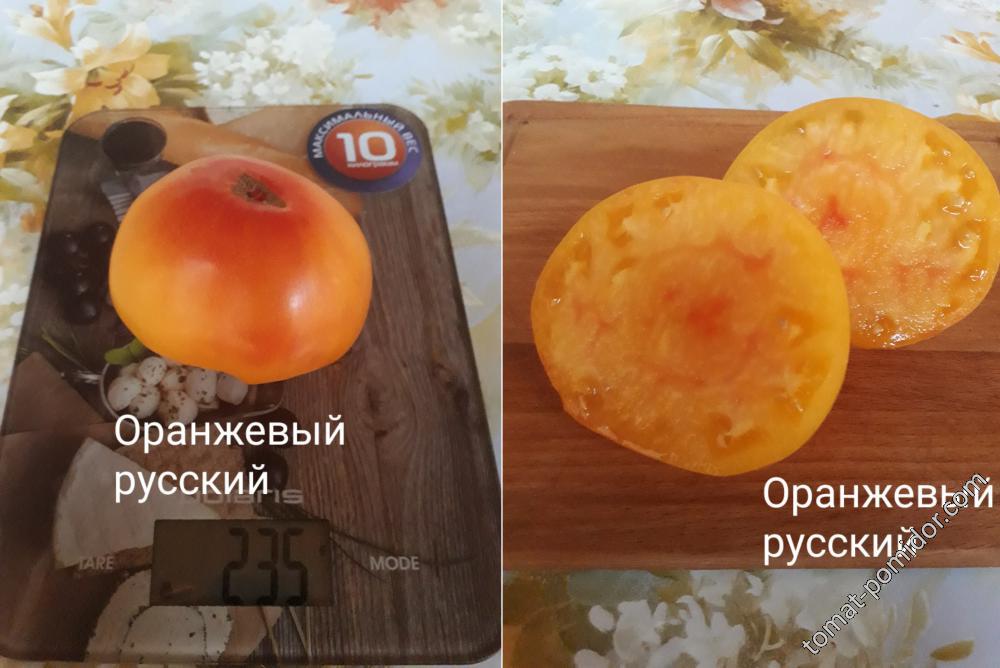 Оранжевый русский