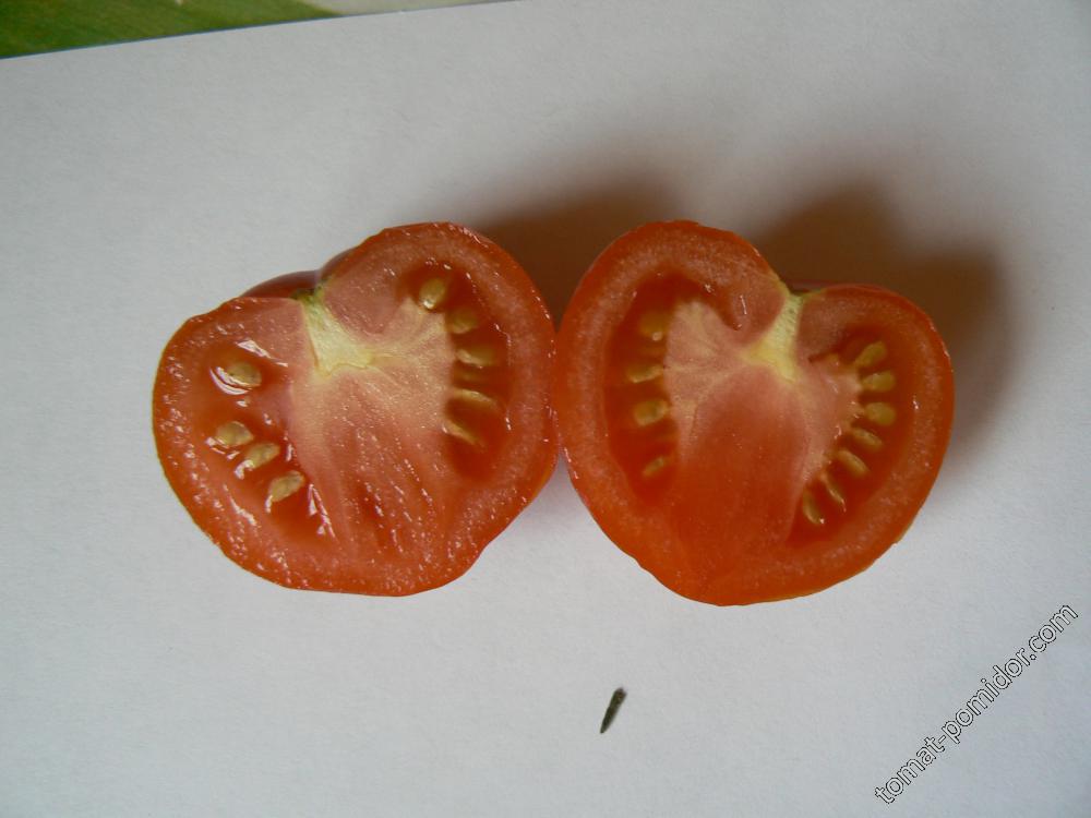 томатик в разрезе