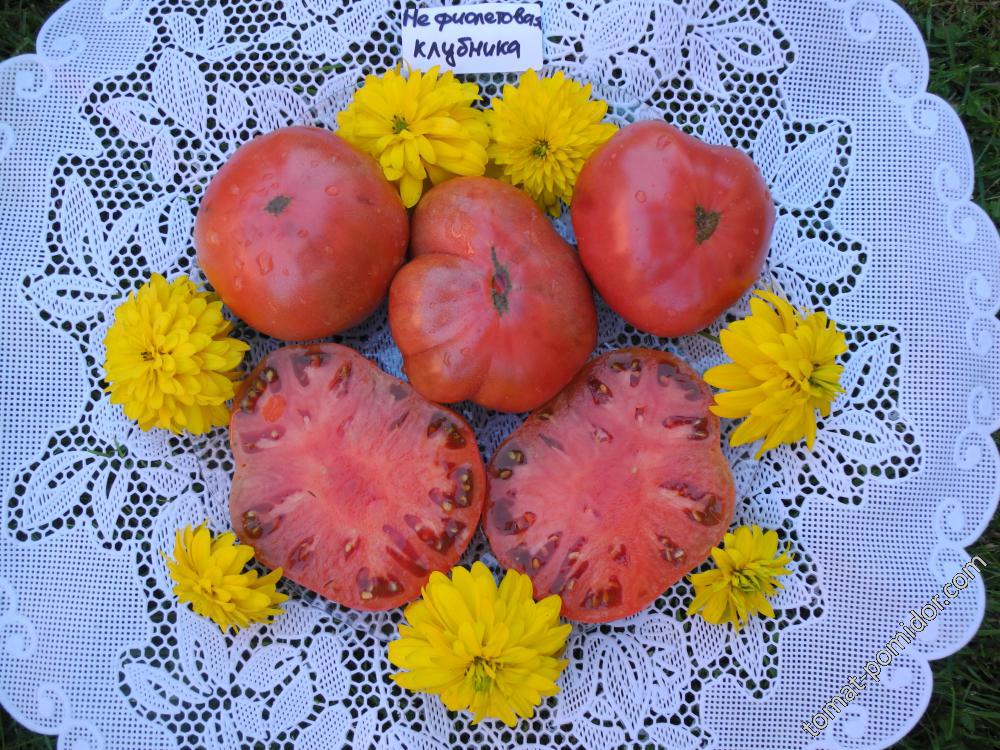 Не фиолетовая клубника (Not Purple Strawberry) США