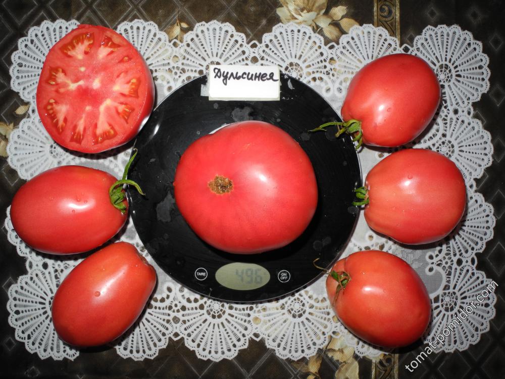 Дульсинея
