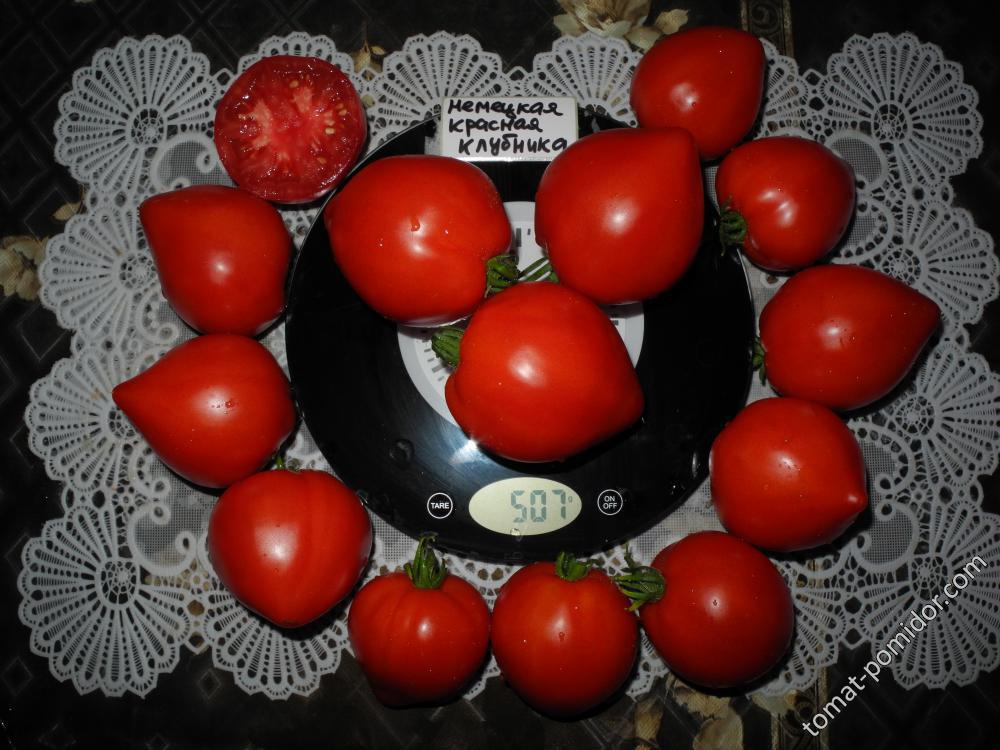 Немецкая красная клубника (German Red Strawberry)