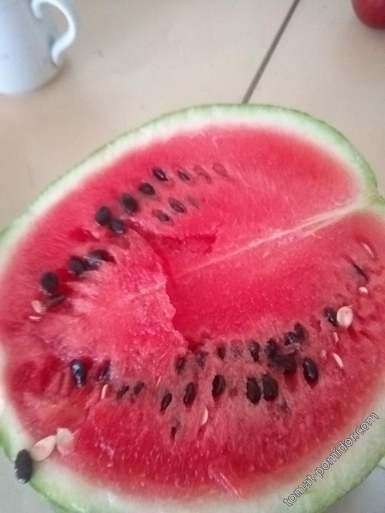 Он же в разрезе