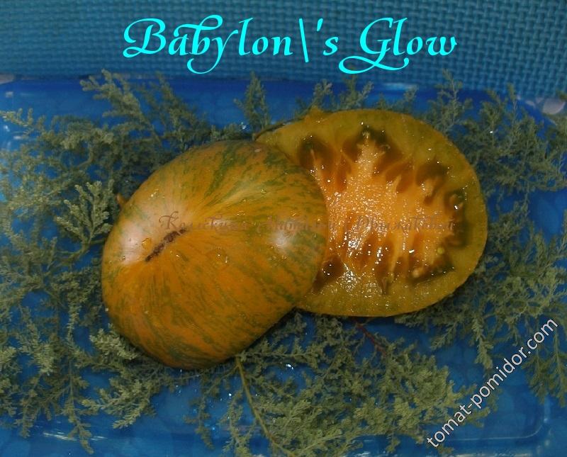 Babylon's Glow  Dwarf / Сияние Вавилона