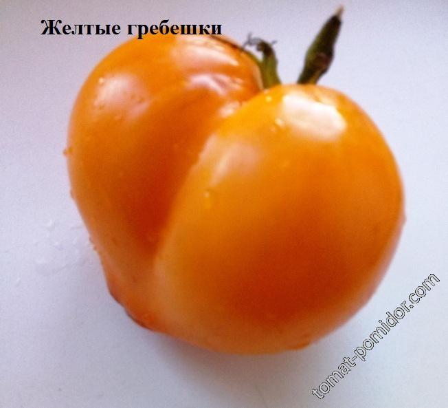 Желтые гребешки