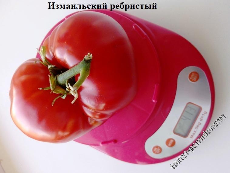 Измаильский ребристый