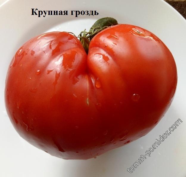 крупная гроздь