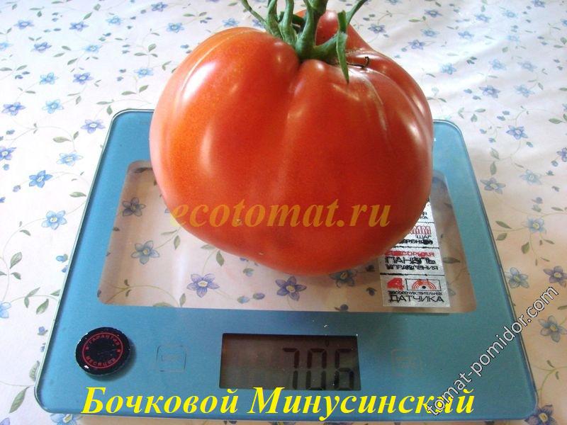 Бочковой Минусинский