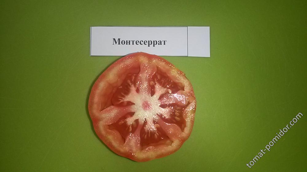 монтесеррат