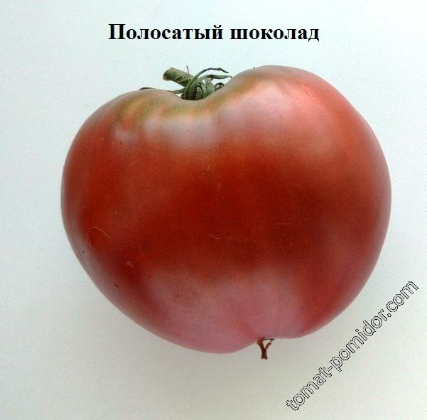 Полосатый шоколад