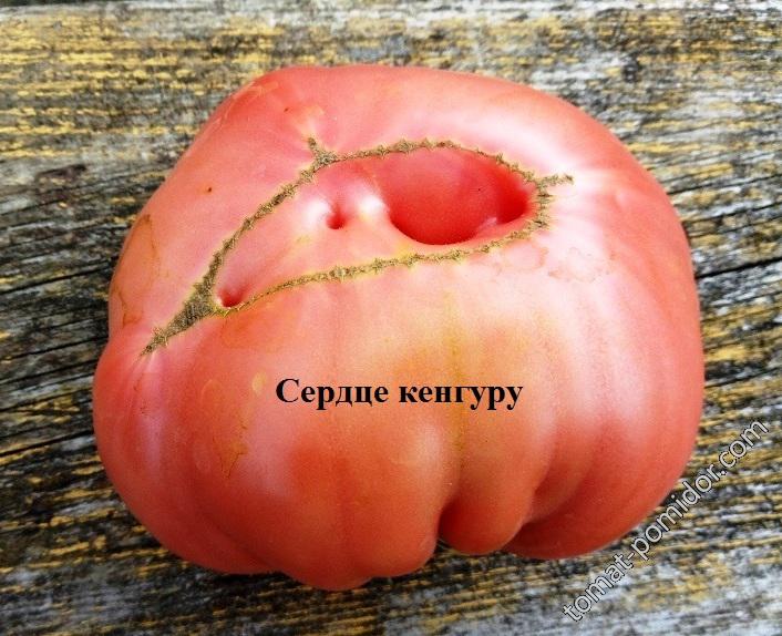 Сердце кенгуру