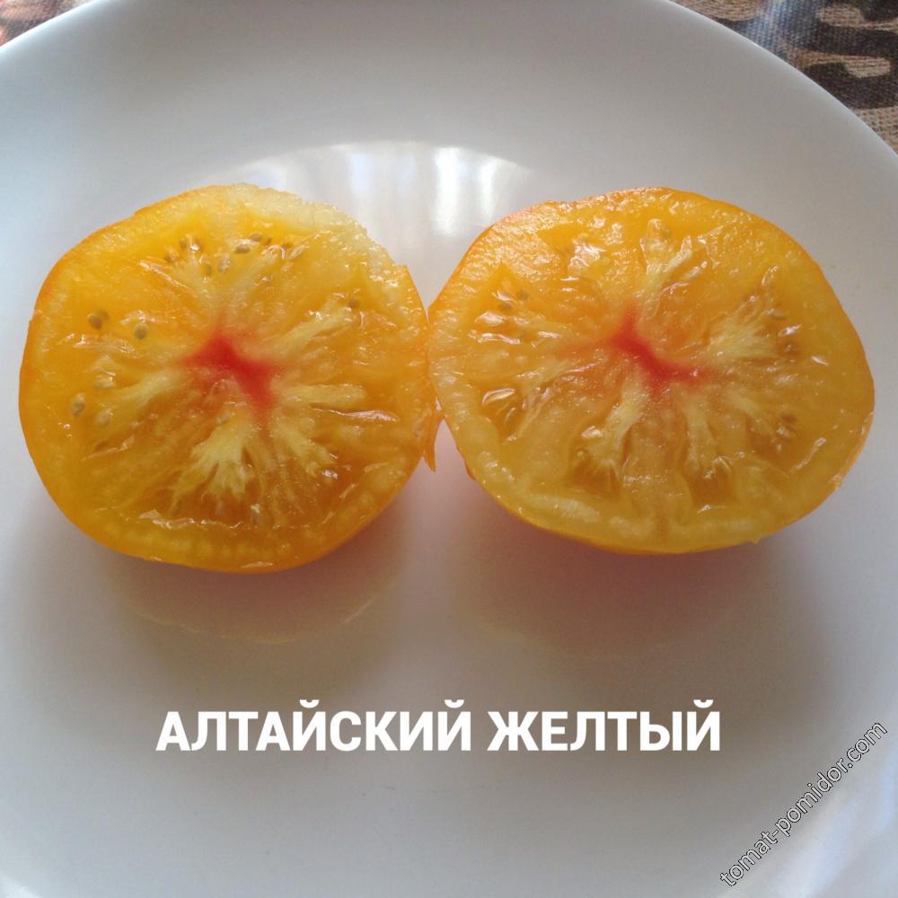 Алтайский желтый