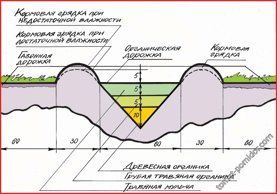 схема грядки Розума