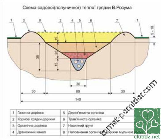 схема грядки Розума