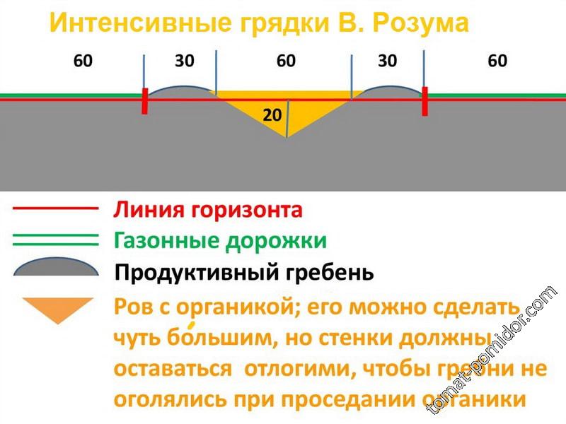 схема грядки Розума