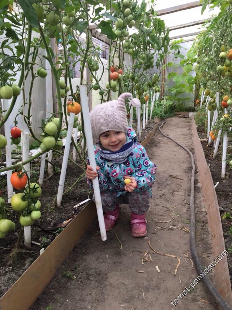 Попробуй зайди в теплицу, даже шапка задом наперед😍