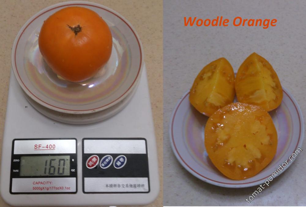 Woodle Orange