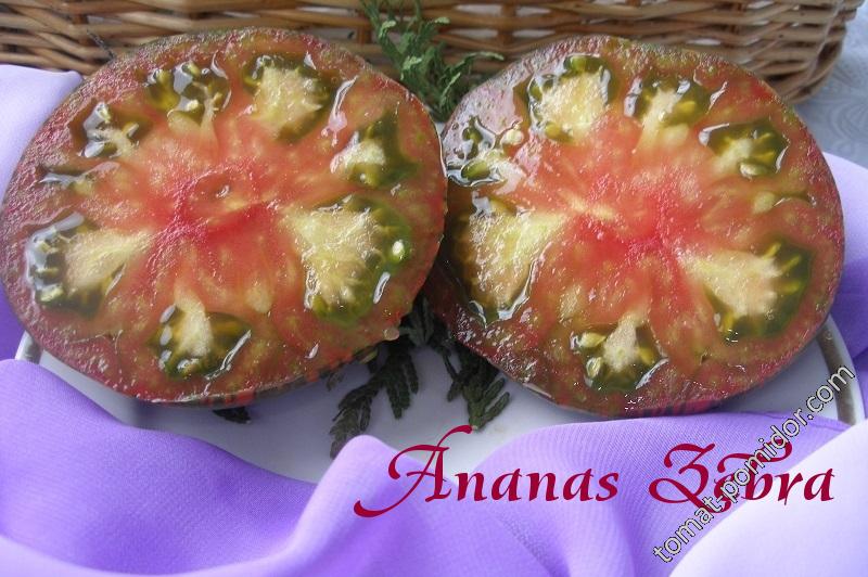 Ananas Zebra / Ананас Зебра