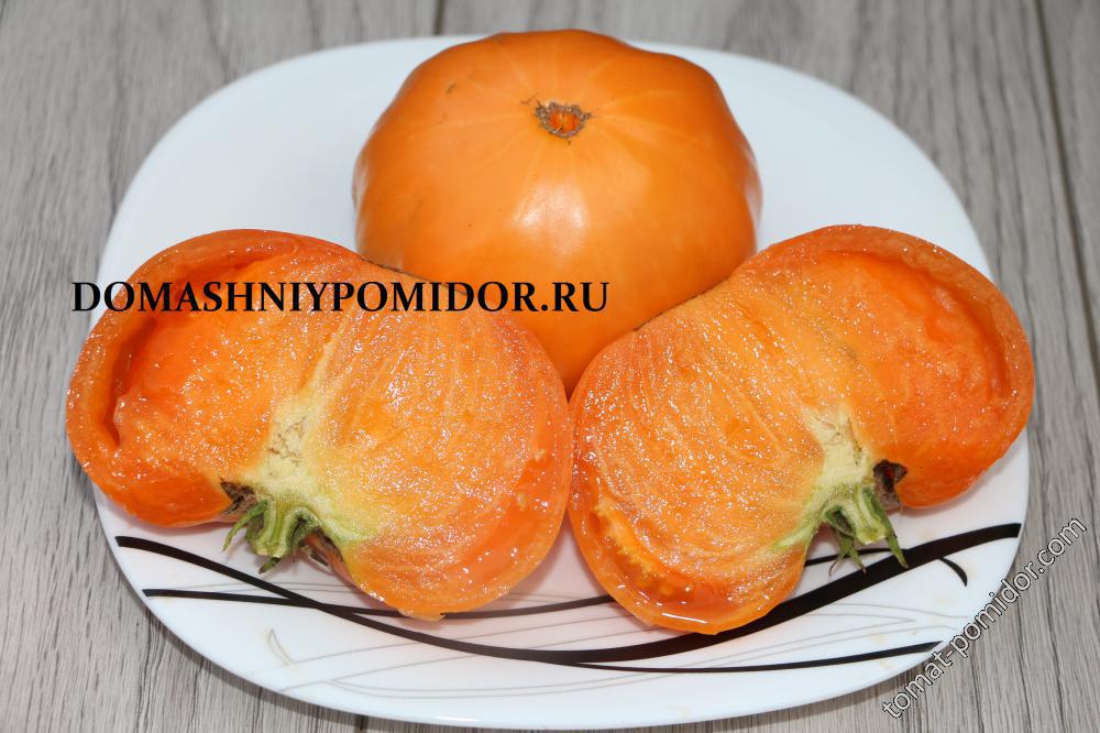 Rughy Orange