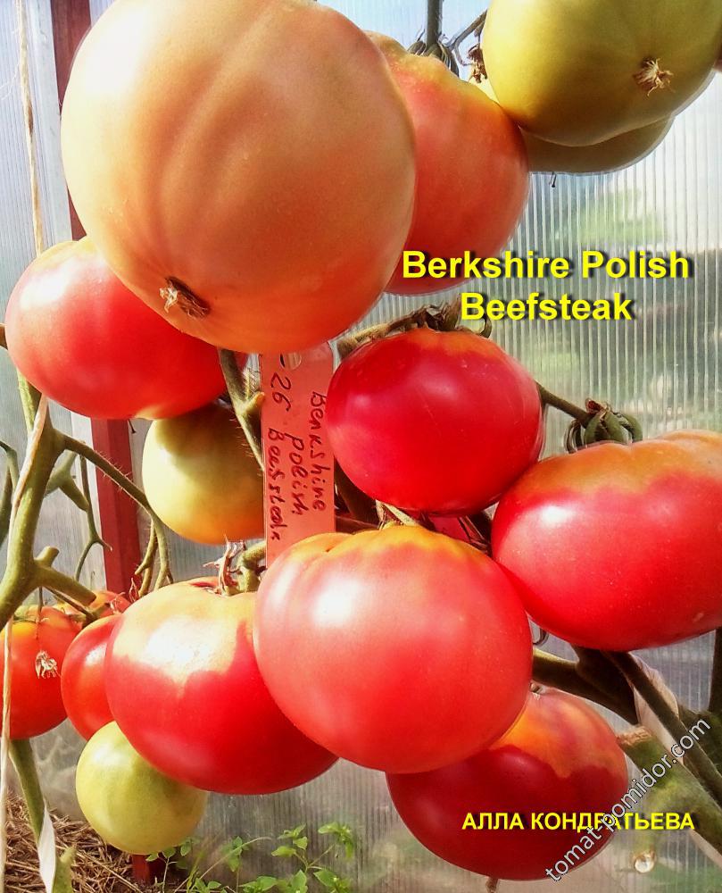 Berkshire Polish Beefsteak
