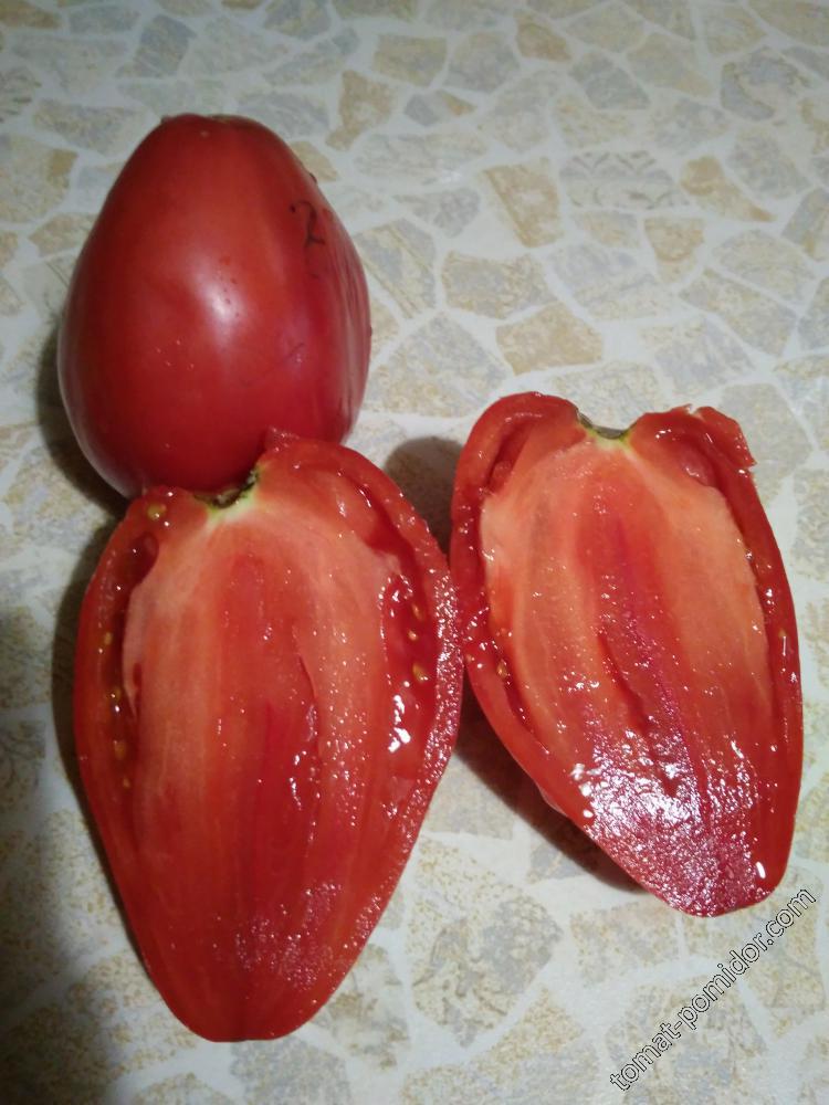Описание сорта помидоров 