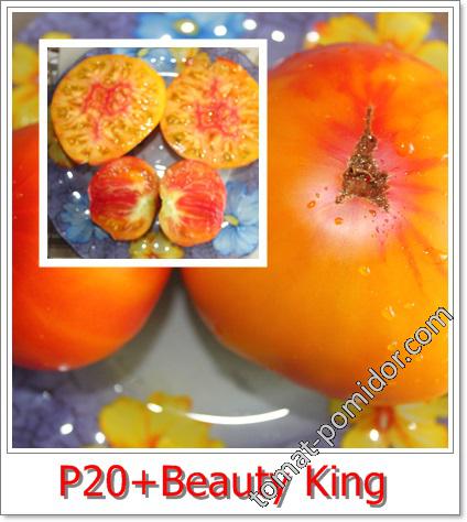 P20+Beauty King