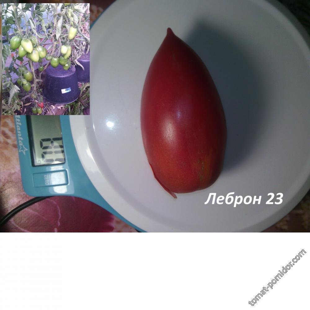 Леброн 23 розовый