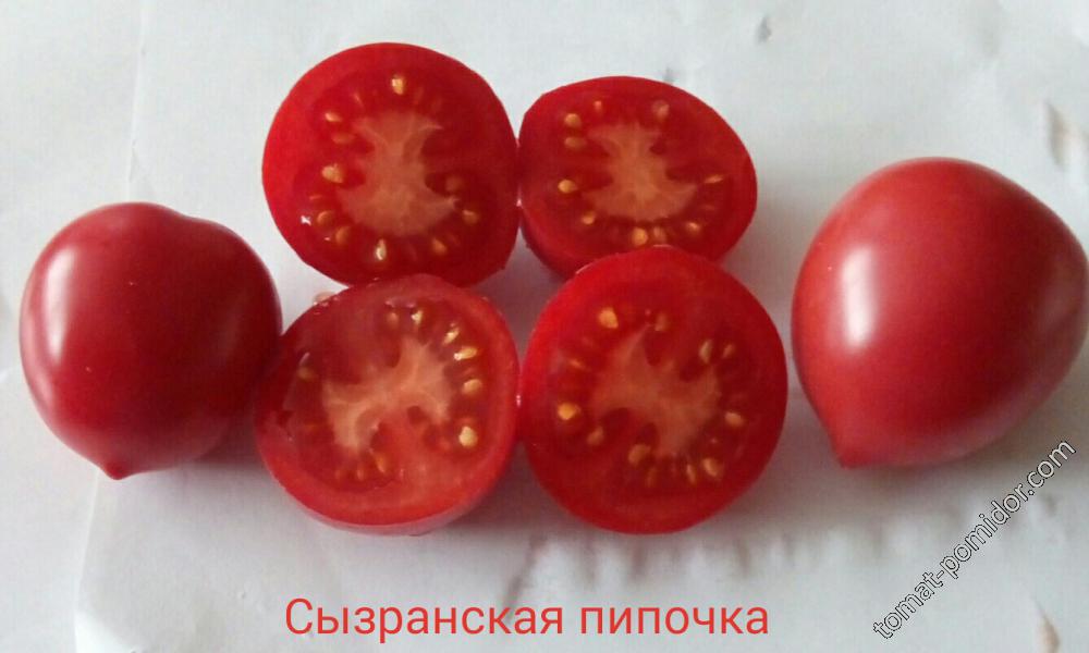 Сызранская пипочка