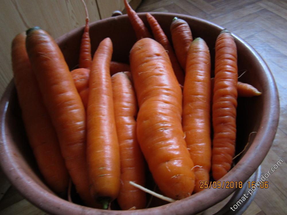 Морковка для шинкования.