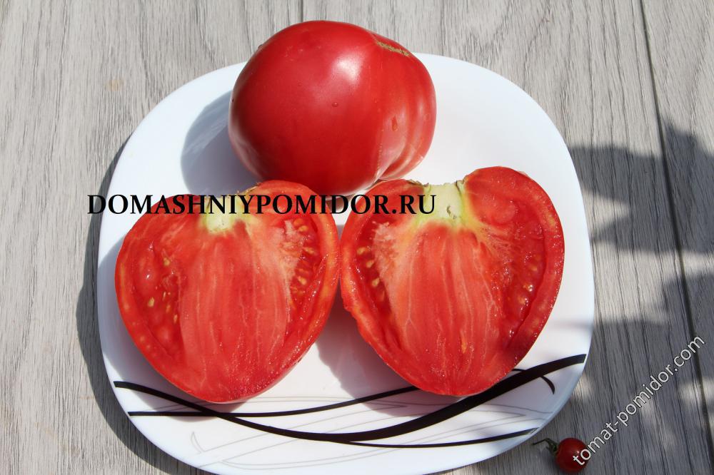 Hey’s Tomato