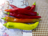 thumb_20504-011018130141.jpeg