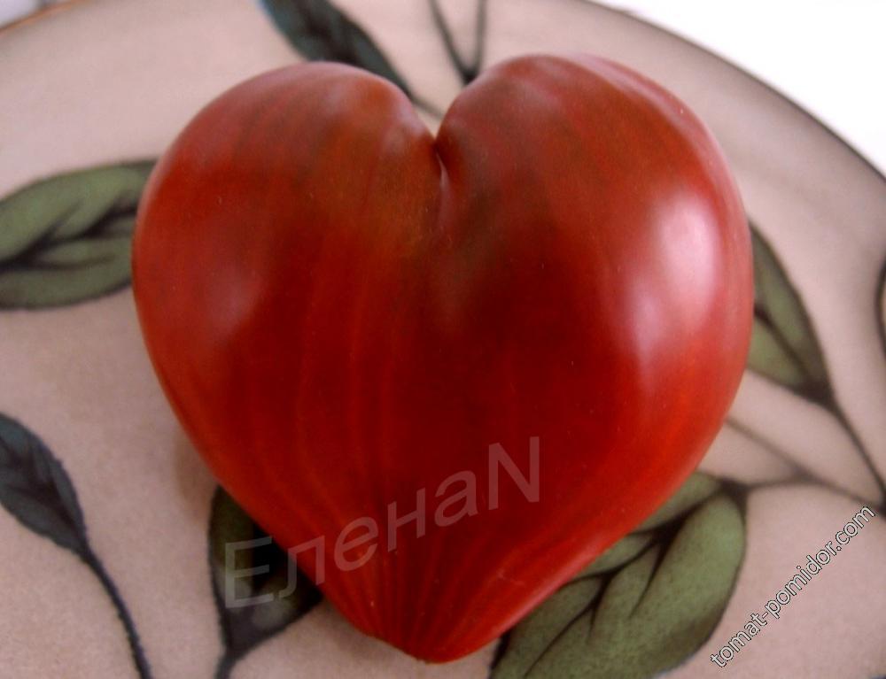 Linnaeus Heart (Сердце Линнея)