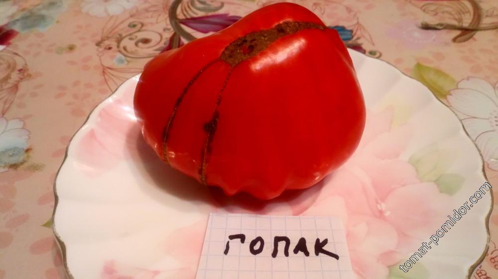 Гопак