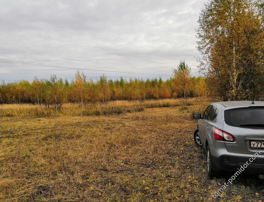 В посадках 10.10.18г.