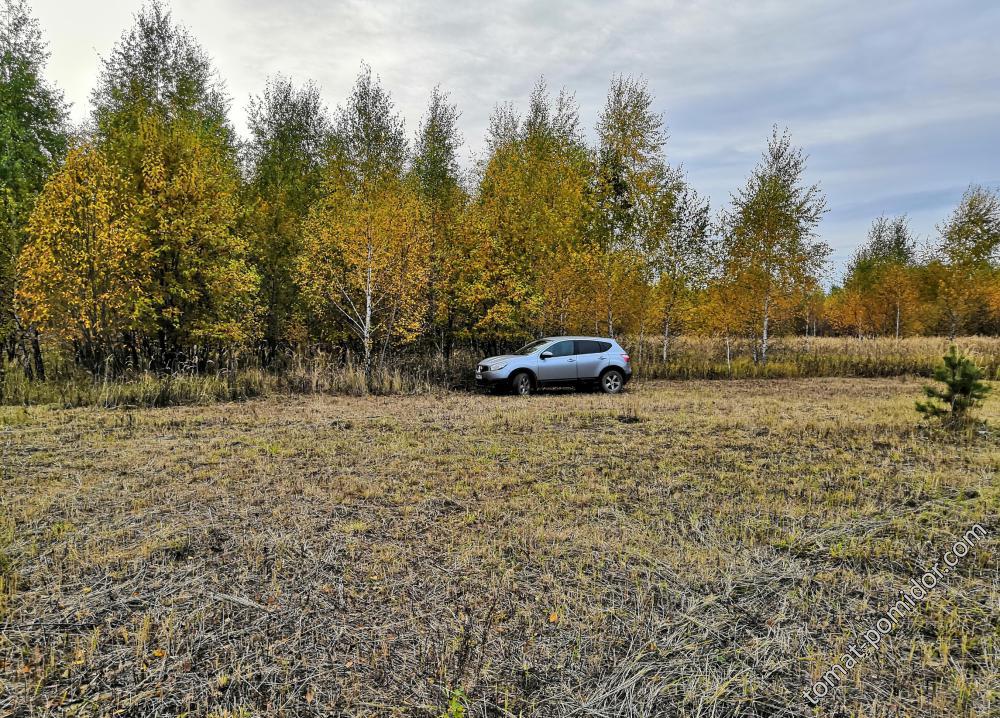 В посадках 10.10.18г.