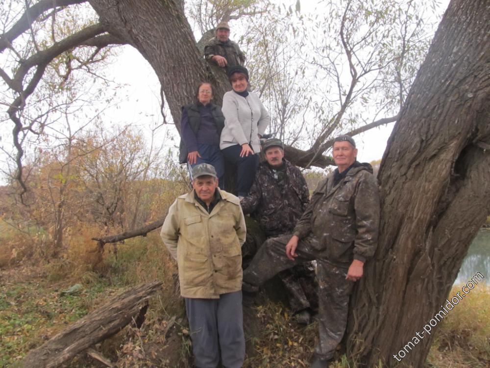 Веселая компания