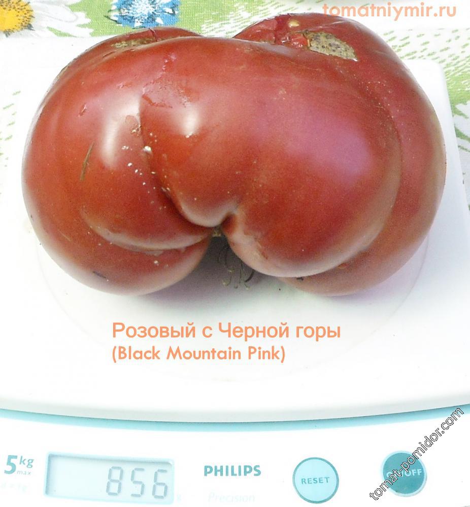 Розовый с Черной горы