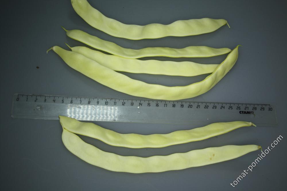 17380-111018125804.jpeg