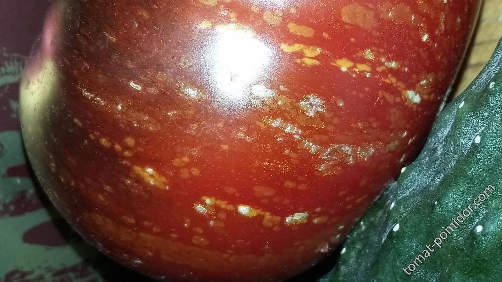 Мои томаты 2018