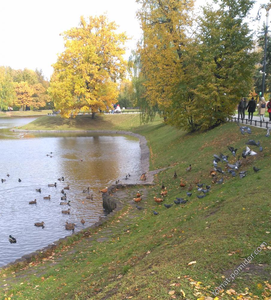 Останкинский парк