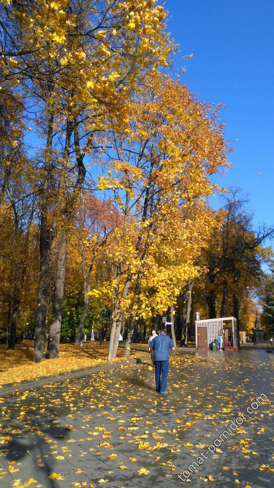 Останкинский парк