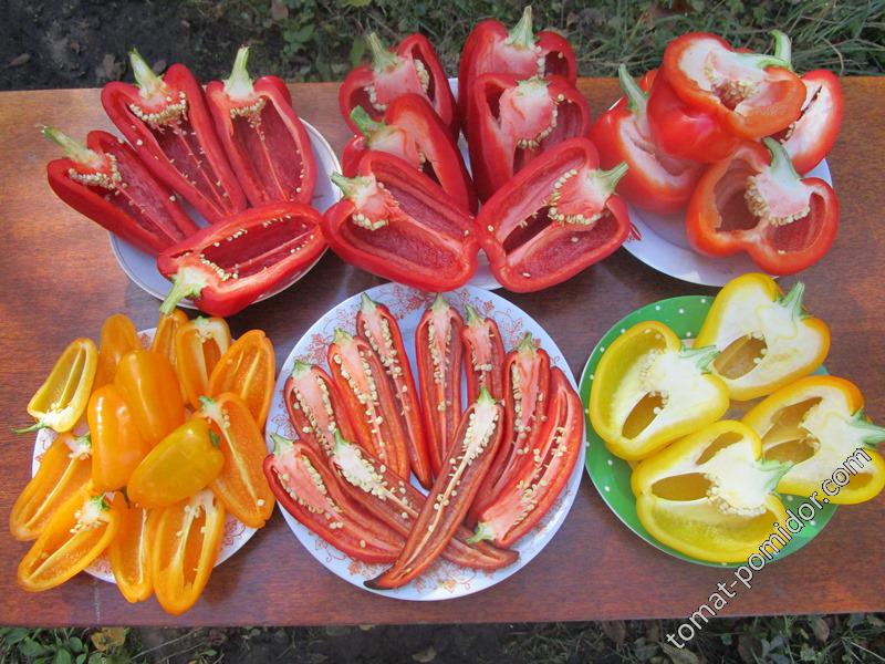 Удачные сорта сладкого перца и паприки - Страница 89 - Баклажаны, перцы,физалис - tomat-pomidor.com - форум