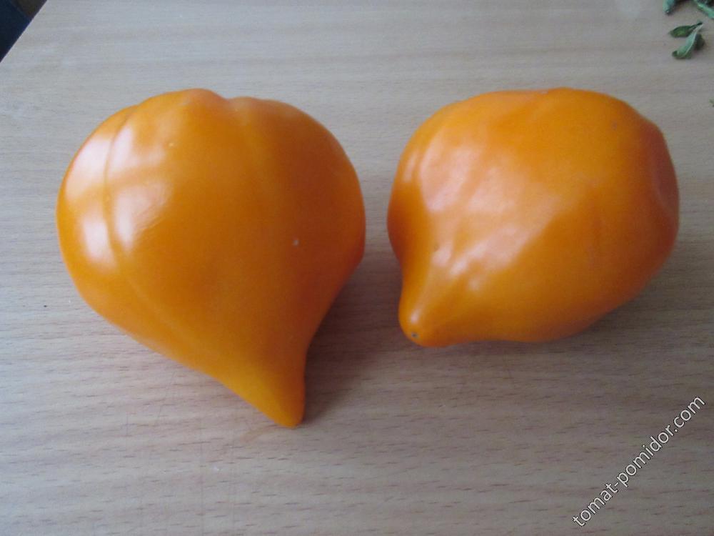 Бычье сердце оранжевое острое