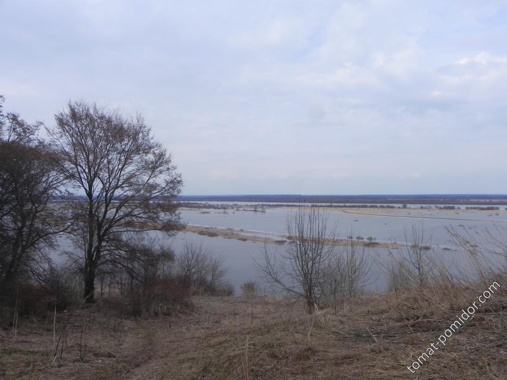 Разлив Оки в Горбатове
