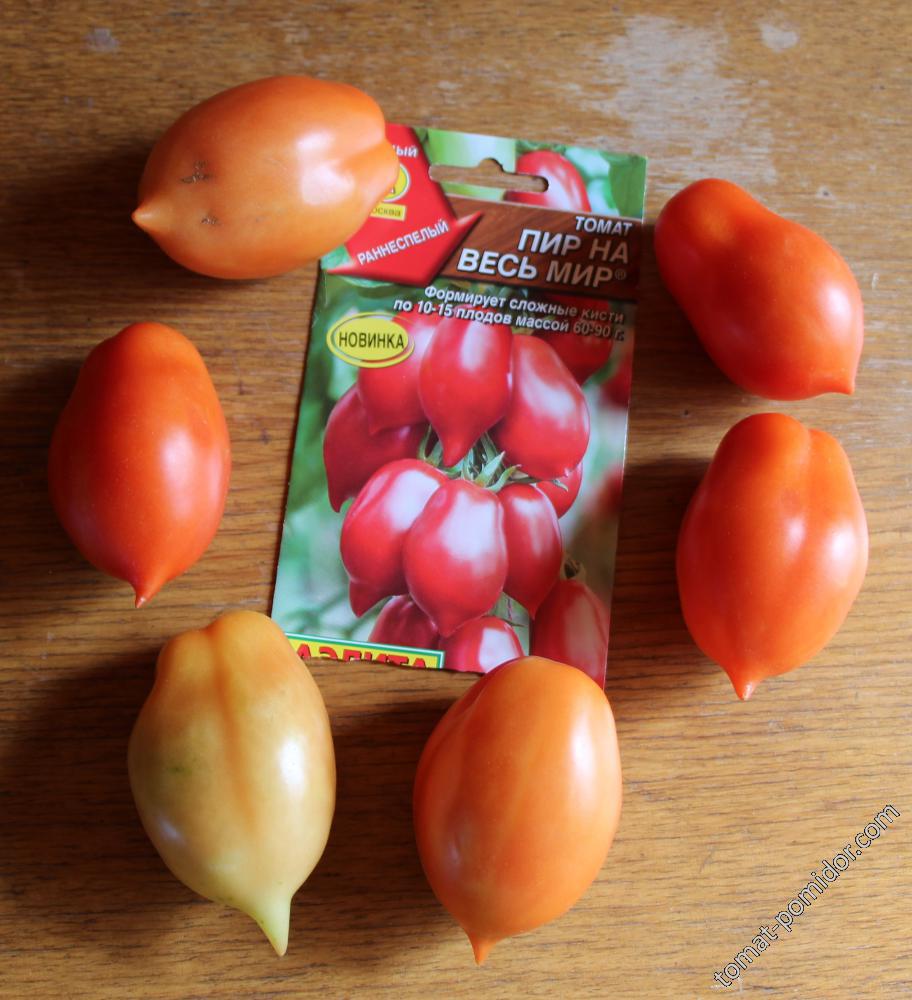 Сорт томатов всем на зависть